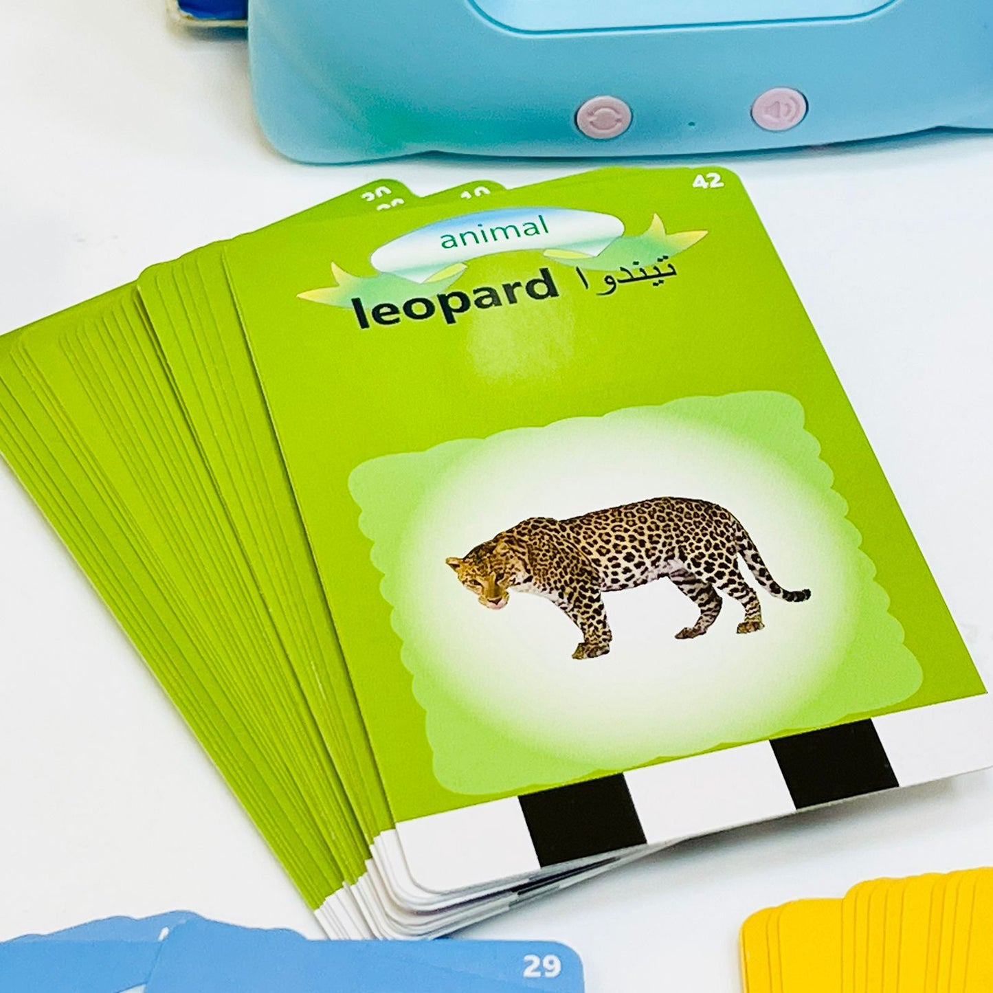 English and Urdu Flashcard Reader Learning Machine