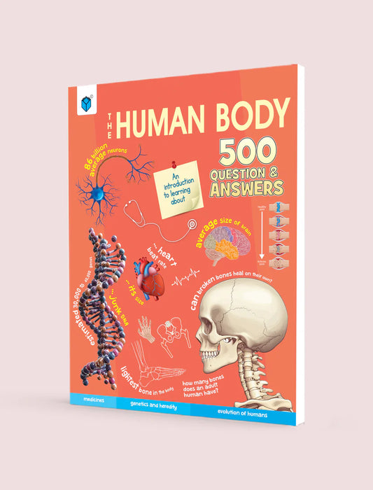Human Body- 500 questions and answers