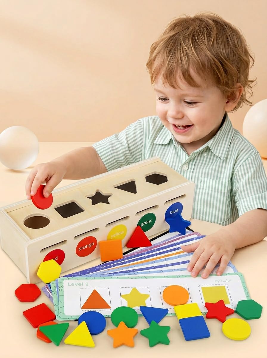 Wooden shape and color sorting box